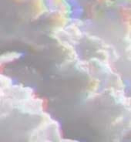 Meet your Posher, Daniela - Picture 1 of 1